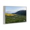 Stupell Industries Lush Rolling Cliffs Framed Giclee Wall Art Design by Thomas Tepstad Berge